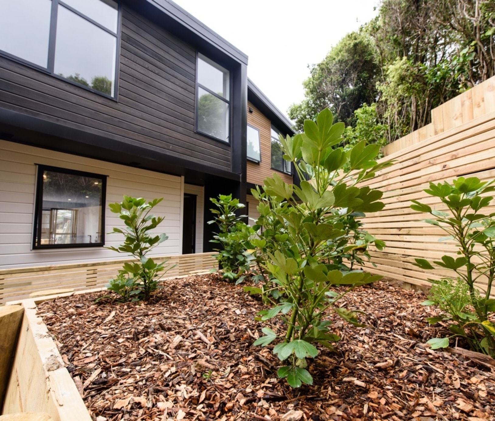 2018 12 20 ER 0304 Large