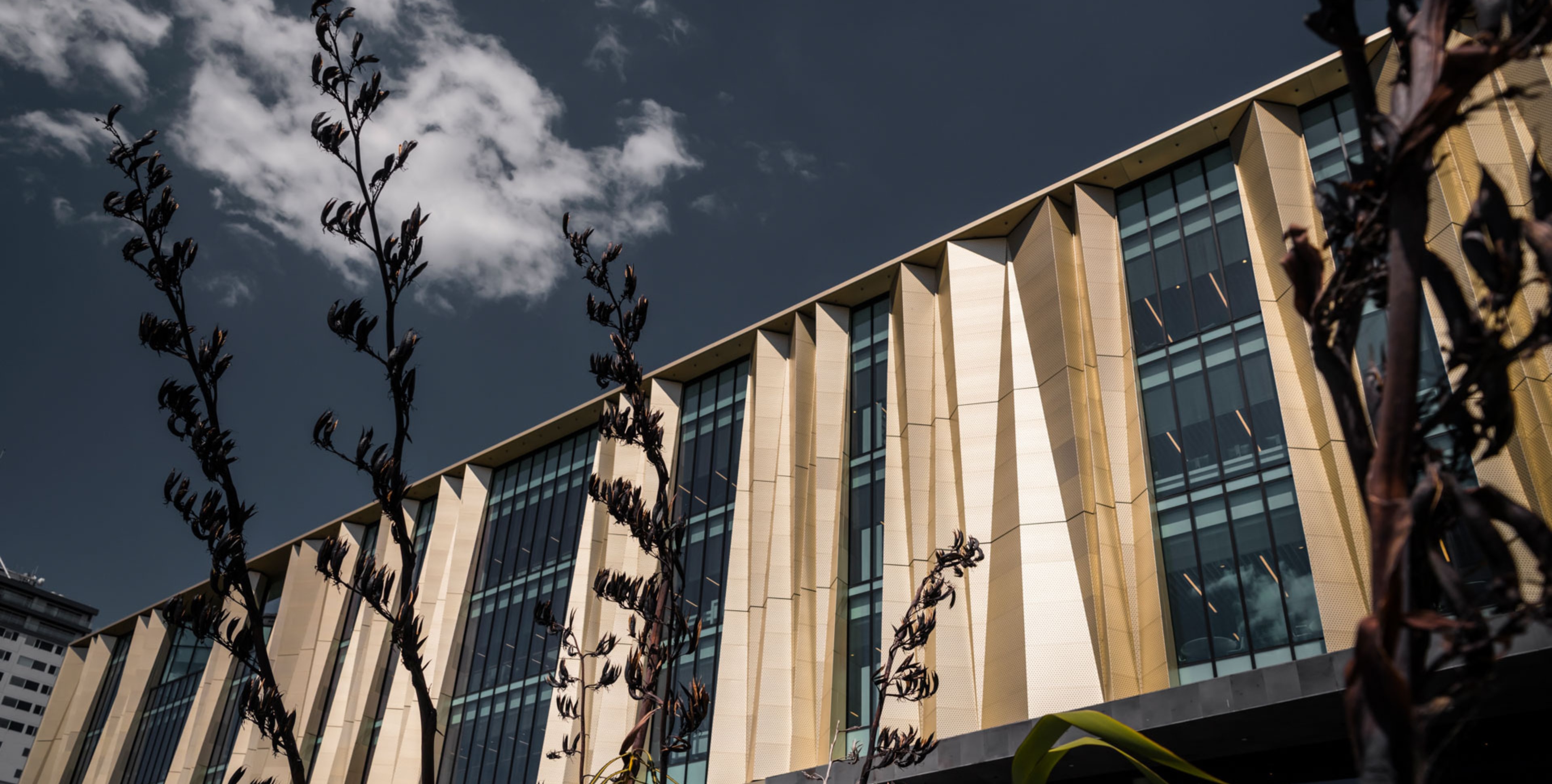 CPA Chch Central Library 05
