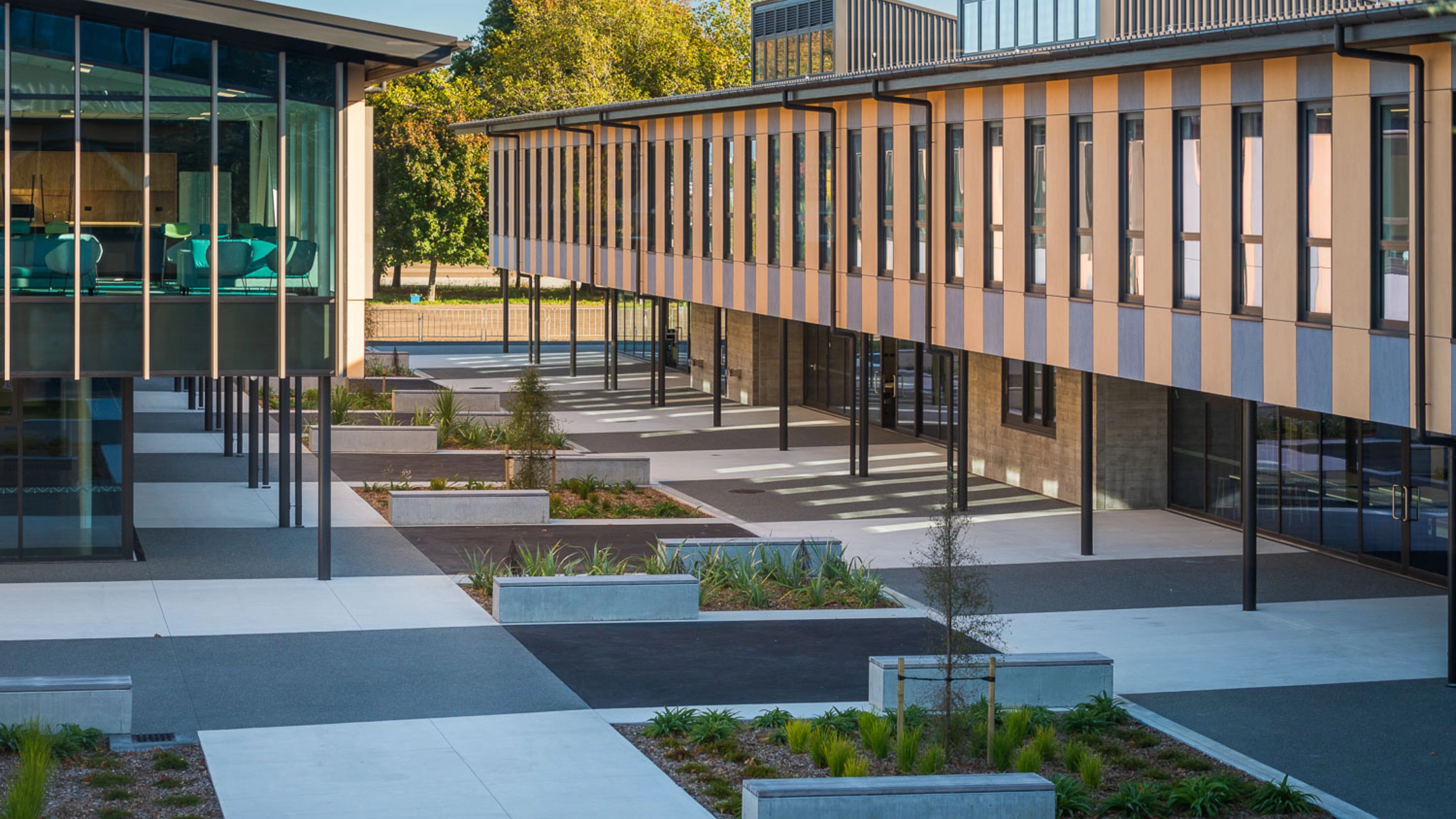 Linwood College Case Study Web 4