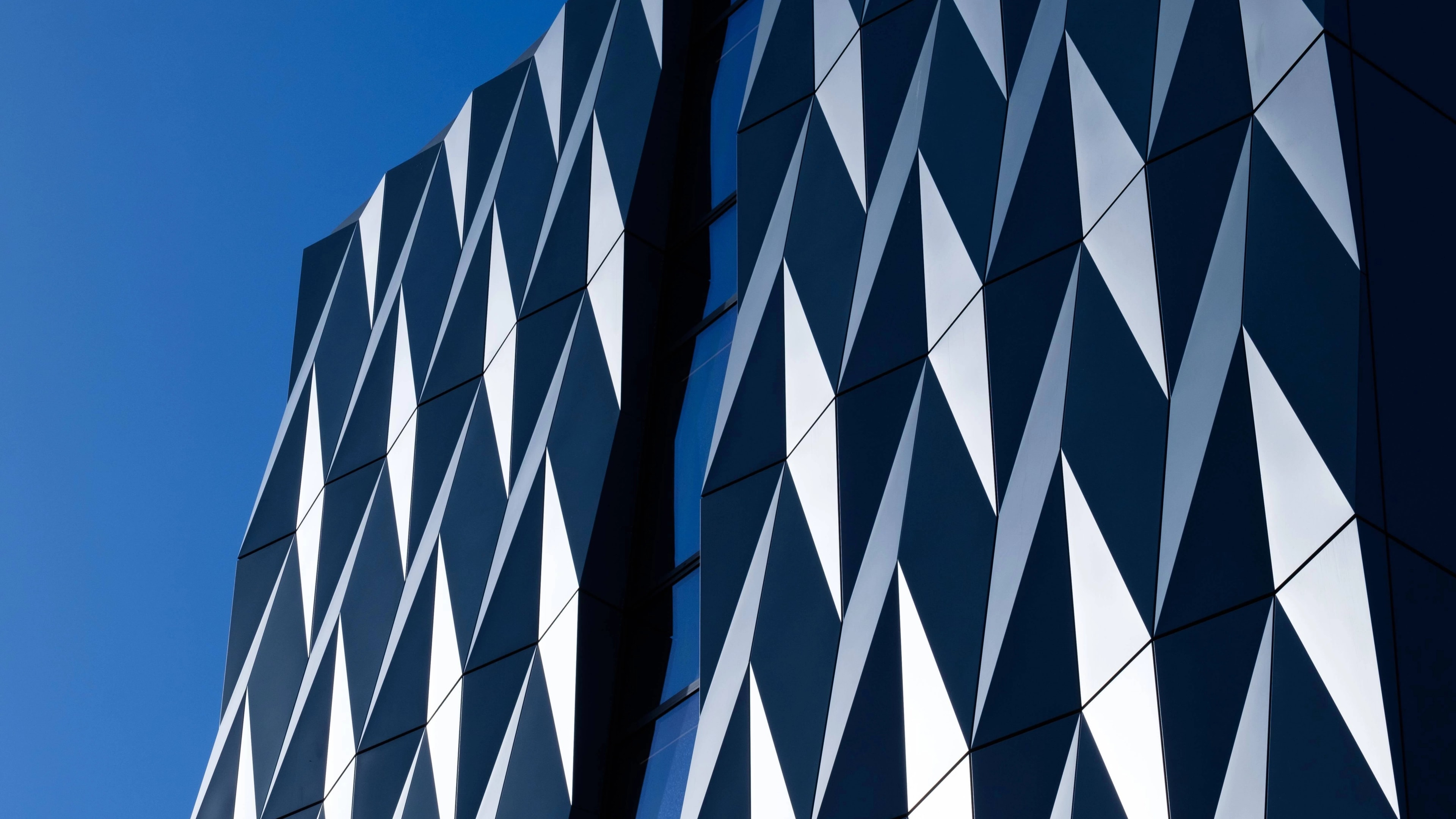 Te Rangihiroa Opening Ceremony 4